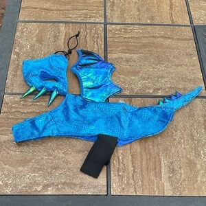 Blue Dragon Costume Set for small dogs